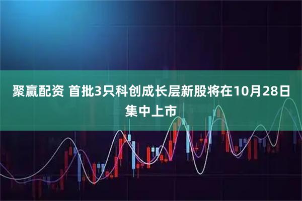 聚赢配资 首批3只科创成长层新股将在10月28日集中上市