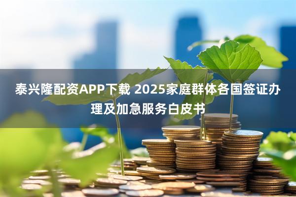 泰兴隆配资APP下载 2025家庭群体各国签证办理及加急服务白皮书