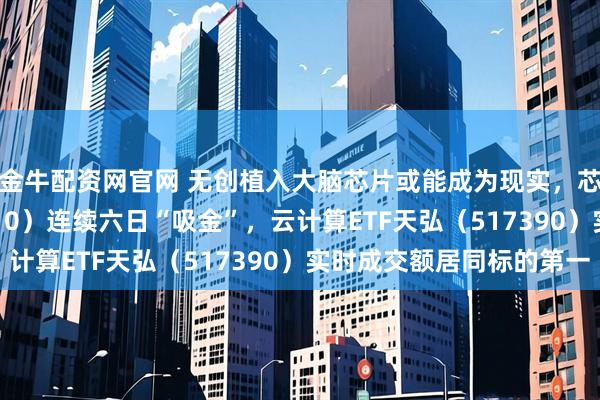 金牛配资网官网 无创植入大脑芯片或能成为现实，芯片ETF天弘（159310）连续六日“吸金”，云计算ETF天弘（517390）实时成交额居同标的第一