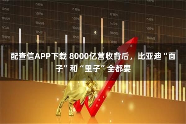 配查信APP下载 8000亿营收背后，比亚迪“面子”和“里子”全都要