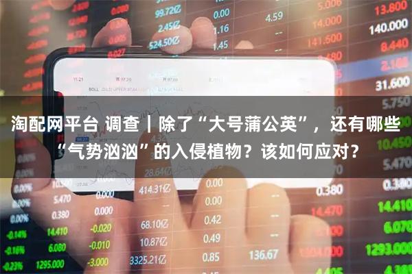 淘配网平台 调查｜除了“大号蒲公英”，还有哪些“气势汹汹”的入侵植物？该如何应对？